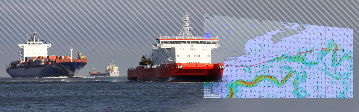 Amélioration du SEEMP (Ship Energy Efficiency Management Plan) 